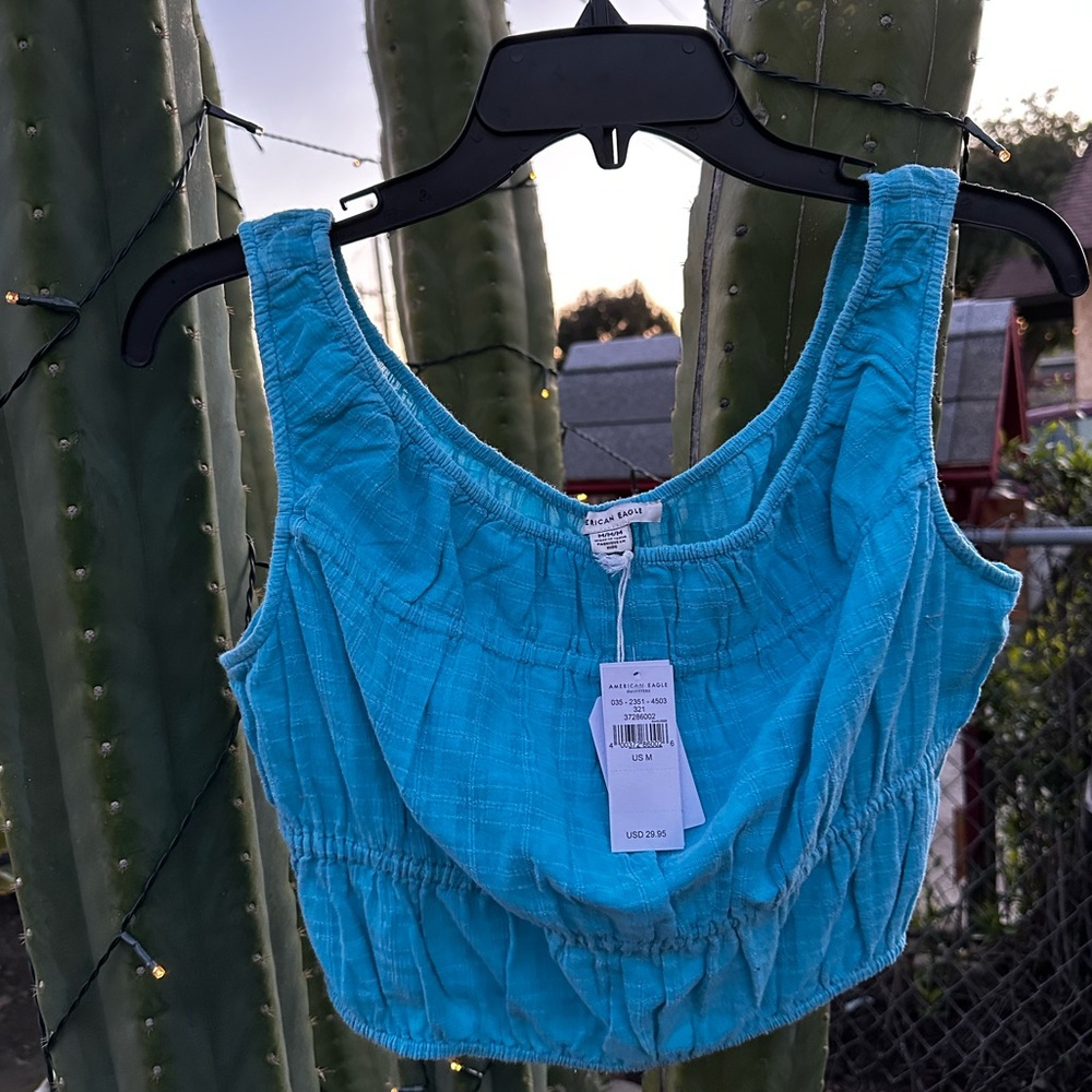 American Eagle Outfitters Women's Blue Crop-top M